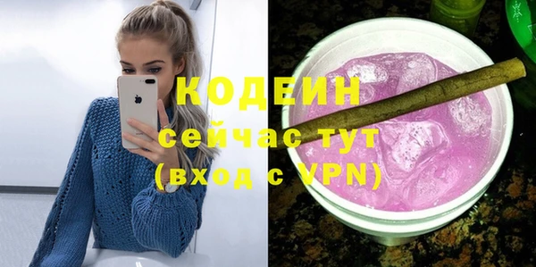 прущий лед Анива