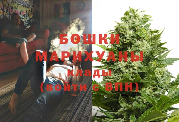 прущий лед Анива