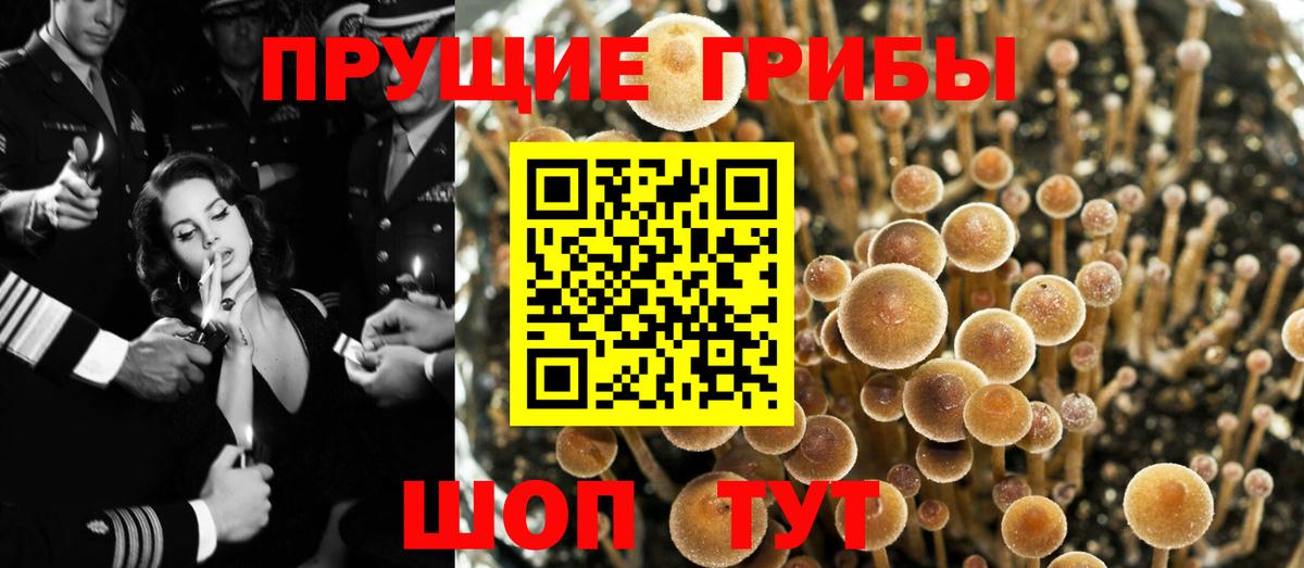 Галлюциногенные грибы GOLDEN TEACHER  Галлюциногенные грибы MAGIC MUSHROOMS  Кинель 