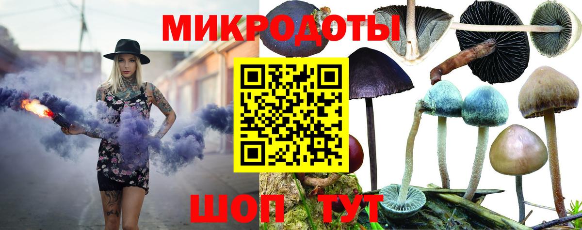Кинель  где продают наркотики  Вход с VPN  Псилоцибиновые грибы прущие грибы 
